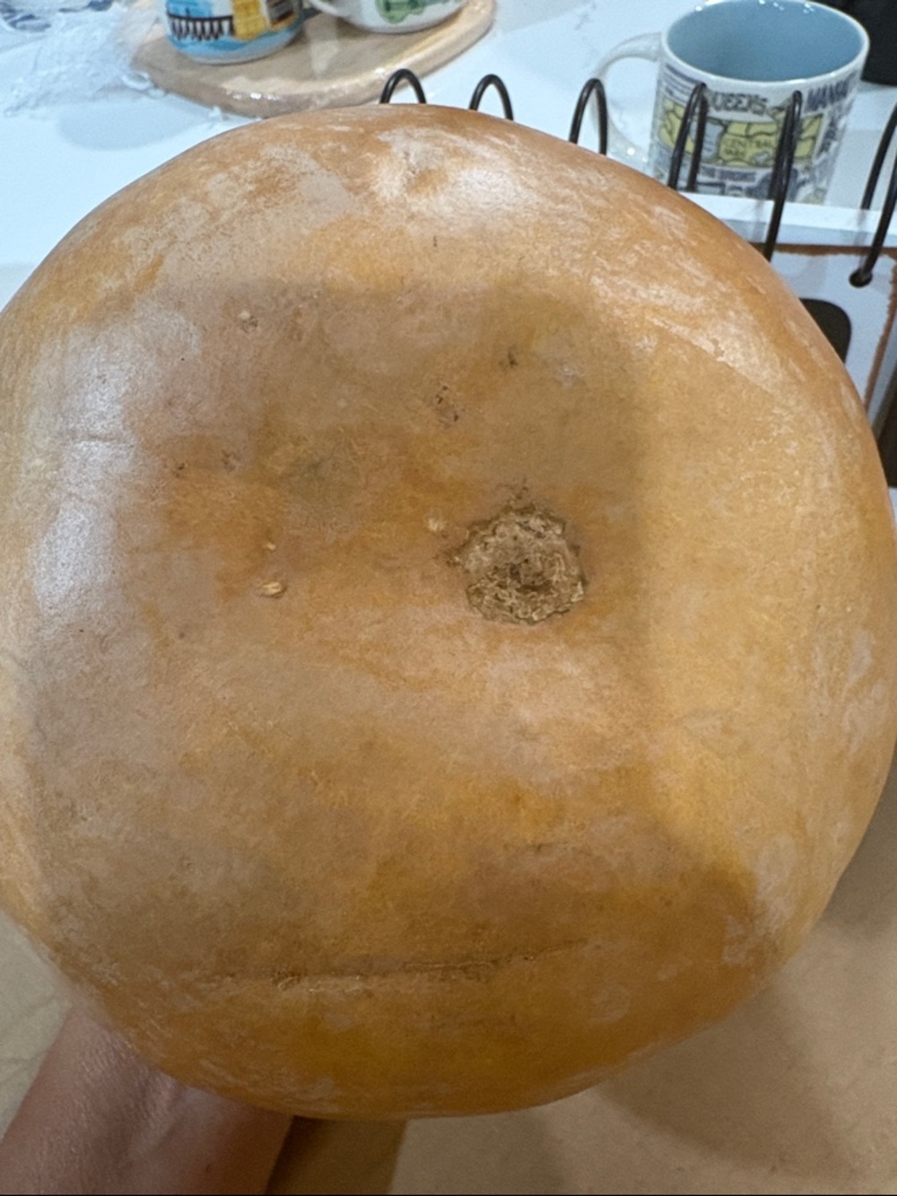Source Unknown Rustic Tan-Brown Gourd Sculpture - Picture 5 of 5